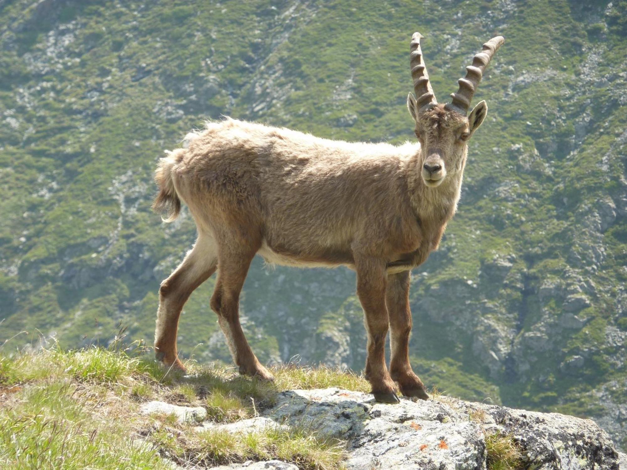 Les Glieres - Champagny-En-Vanoise La Plagne Exterior foto